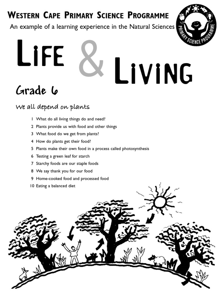 life and living grade 6 english pdf staple foods photosynthesis