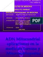 Adn Mitocondrial