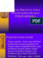 Peran Peran Perawatterapi Somatik Dan Psikofarmaka