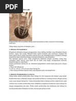 Download Proses Pembuatan Bore Pile by dhyfor SN173443861 doc pdf