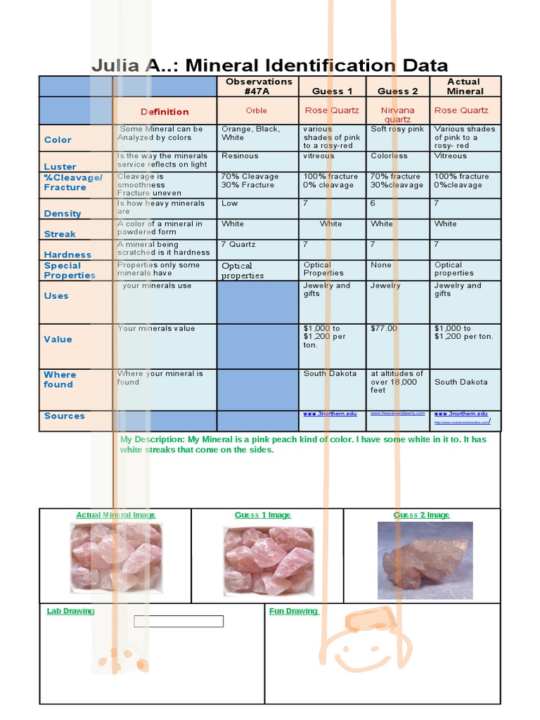 Indentification Data | PDF