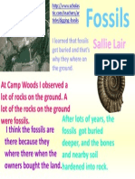 Sallie Lair: at Camp Woods I Observed A Lot of Rocks On The Ground. A Lot of The Rocks On The Ground Were Fossils