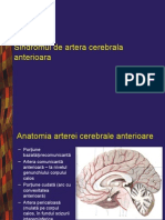 Boli Vasculare Cerebrale p1