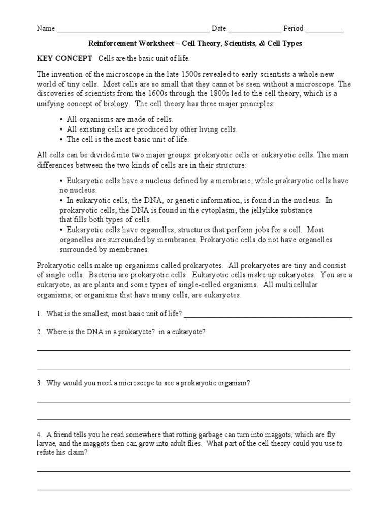 cell theory scientists types reinforcement worksheet | Cell (Biology