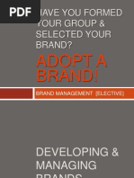 3 - Developing & Managing Brands SPRING 2013 UPDATED