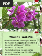 Download Alamat ng Waling-Waling by Maveh De Mesa Dupan SN173503320 doc pdf