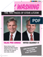 Attack Ad Against Steve Litzow (3 of 3)