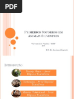 Animais - Primeiros Socorros Em Animais Silvestres