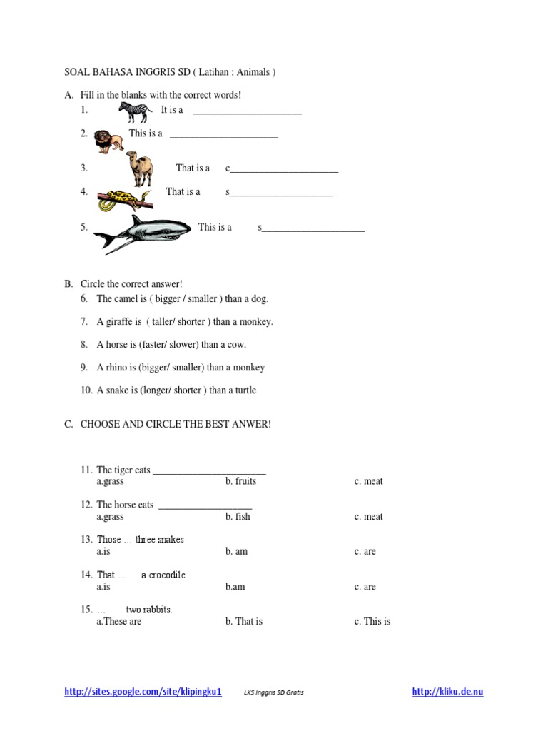 Soal Bahasa Inggris Kelas 6 Sd Animals Wulan Tugas