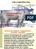 Carbohidrato Lipidos 3