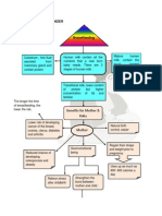 Breastfeeding: 3.0 Graphic Organizer