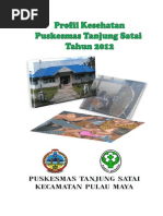 Download Profil Puskesmas Tanjung Satai 2012 _EBOOK by Mulyadi-Alka Ayah Ais SN173574598 doc pdf