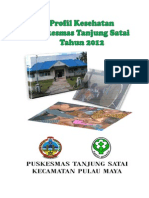 Profil Puskesmas Tanjung Satai 2012 - EBOOK