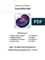 Download Badan Golgi by Istiqomah Fatayati SN173577145 doc pdf