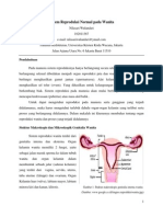 Sistem Reproduksi Normal Pada Wanita