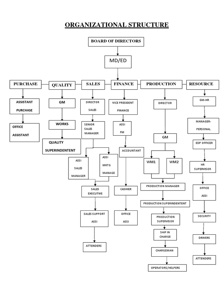 Organizational Structure Overview | PDF