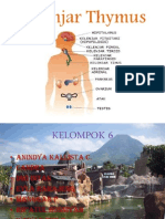 Kelompok 6 Thymus