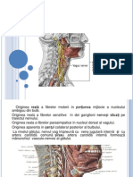 Nervul Vag Prezentare