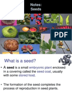 Seed Structure