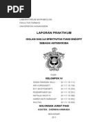 Download Laporan Lengkap Isolasi MO Endofit by HyuReaper SN173662020 doc pdf