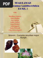 Download TEMULAWAK by will_ghoest SN173664147 doc pdf