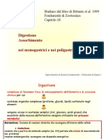 Digestione Monogastrici Ruminanti