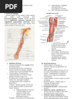 Download Upper Limbs Blood Supply and Nerves by marksterxxx SN17367456 doc pdf