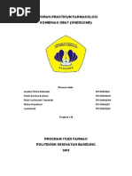 Download Laporan Farmakologi - Efek Sinergisme Obat by Riska Handiani SN173689862 doc pdf
