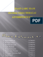 Manfaat Labu Siam untuk Hipertensi