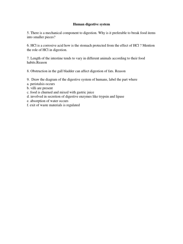 Human Digestive System 10 | PDF | Human Digestive System | Digestion