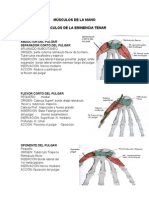 Musculosmano 090527111218 Phpapp02