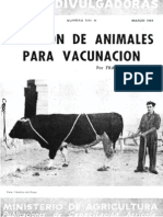 Sujecion de Animales para Vacunacion.