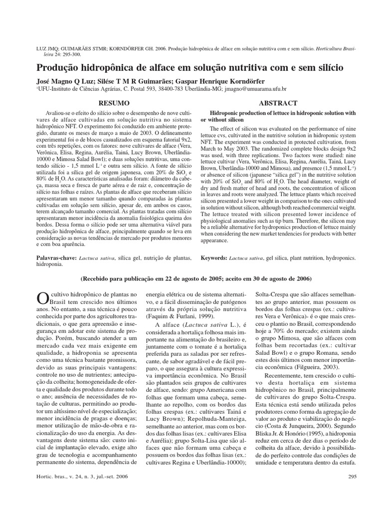 Alface Semi Hidroponico