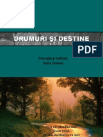 Drumuri Si Destine