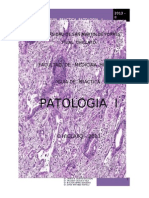 Patologia - i 2013-Guia Practica]