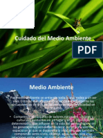 Cuidado Del Medio Ambiente