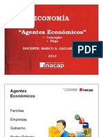 Agentes Economicos