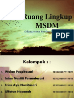 MSDM Ruang Lingkup