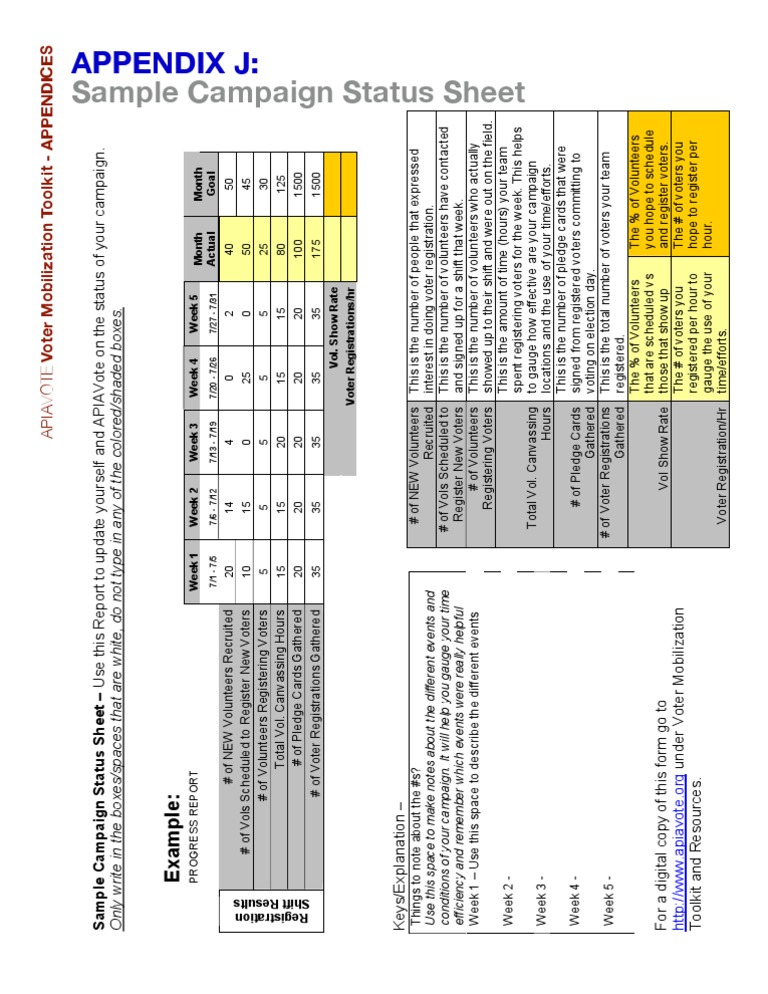 Campaign Status Report Template | PDF | Voter Registration | Elections
