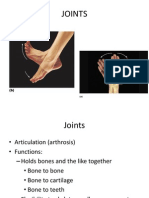 Joints - Anatomy Lecture