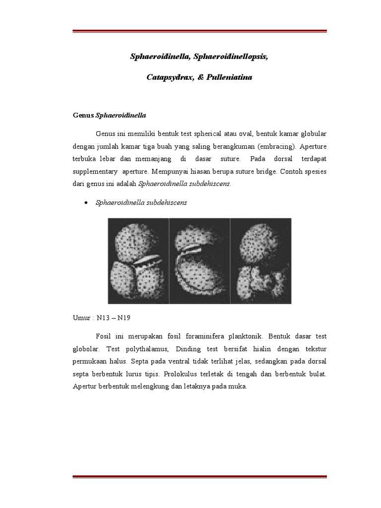 Belarusda bir yigitga mushukimni yalashiga ruxsat beraman (reklama)