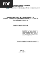 Biogeoquímica do C, N, P - Hidrodinâmica de Particulados e Evolução da Eutrofização na Região Costeira de Niterói, RJ