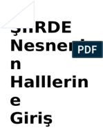 Siirde Nesnenin Hallerine Giris