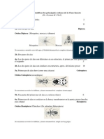 Claves Para Identificar Insectos