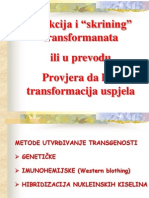 10 - Deseti Termin Skrining Transformanat + PCR