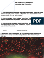 Mitokondria dan Kloroplas Organel Pengubah Energi