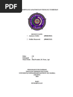 Download Tugas Morfologi Anatomi Dan Fisiologi Tumbuhan  by Hafilia Haznawati SN173847743 doc pdf