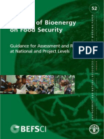 Bioenergy and Food Security