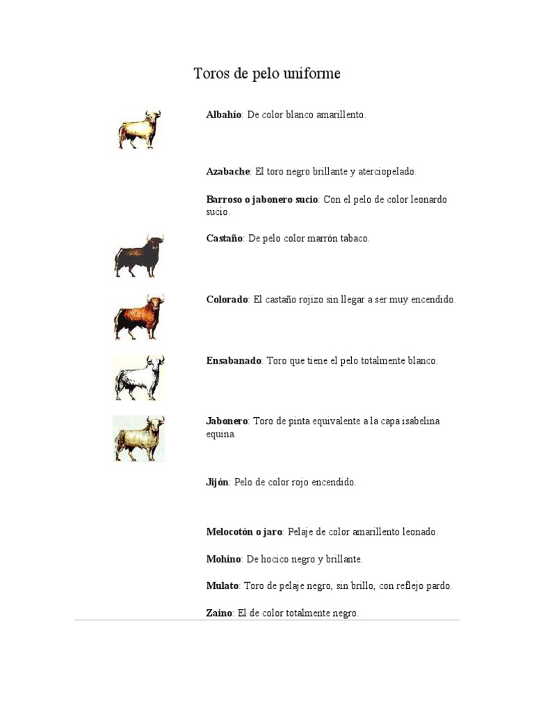 Tipos y colores de toros según pelaje | PDF | Qualia | Color