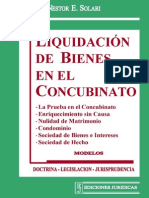 Liquidacion de Bienes en El Concubinato - Nestor Solari(7)